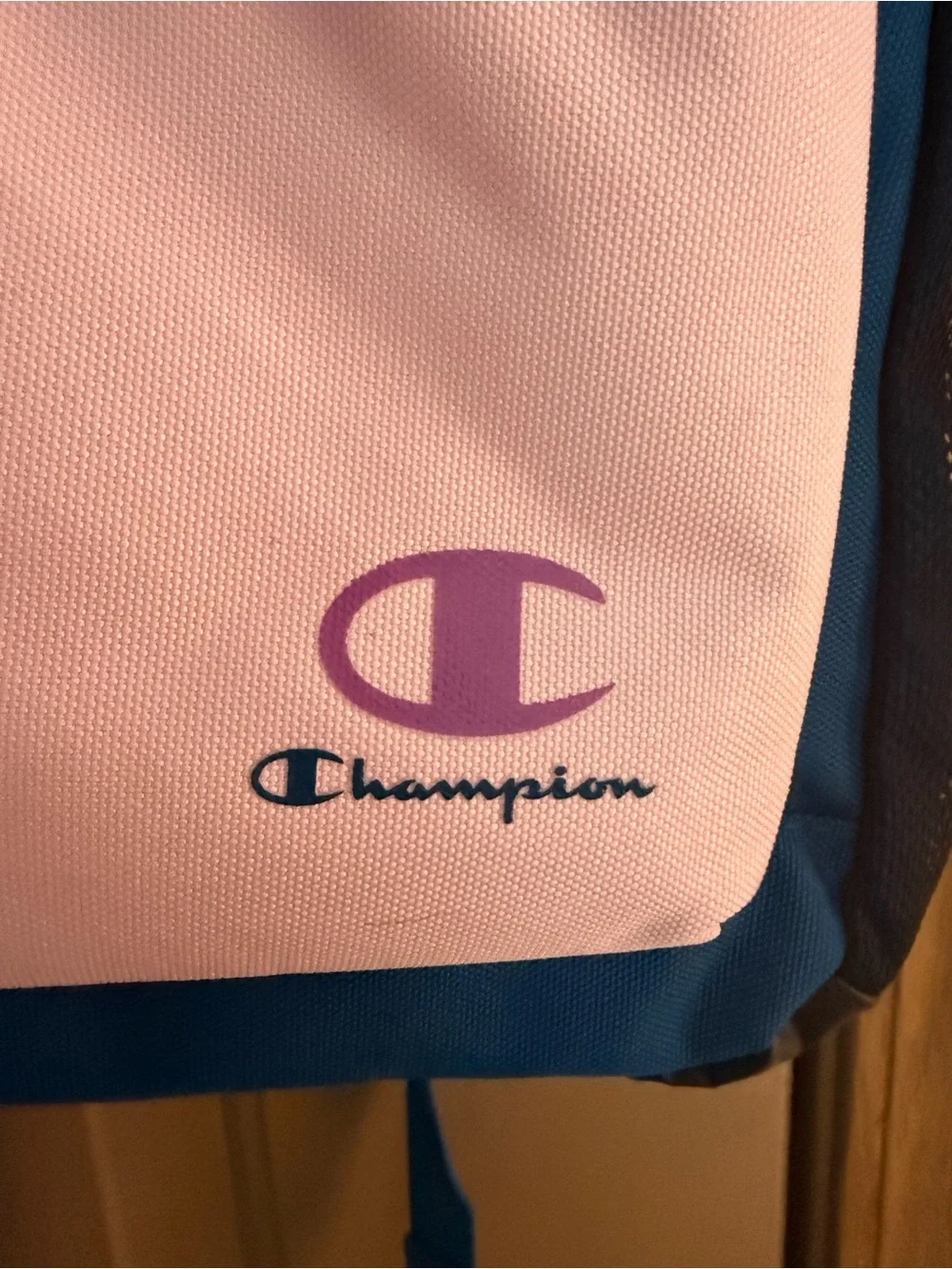 Champion Pink and Blue Kids Backpack with Bungee Front